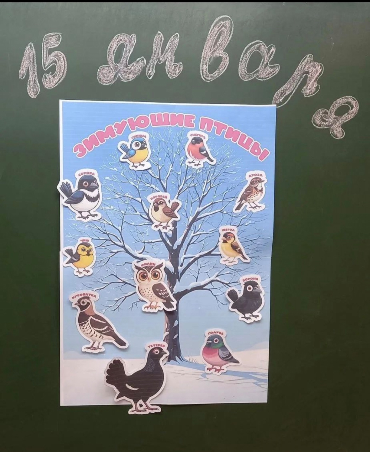 День зимующих птиц?.